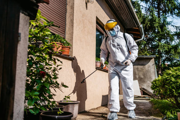 Best Exterminator Services  in Colorado City, AZ