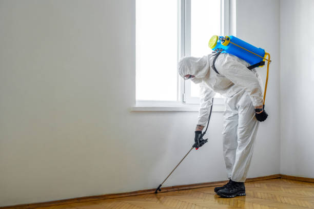 Best Affordable Pest Control Services  in Colorado City, AZ